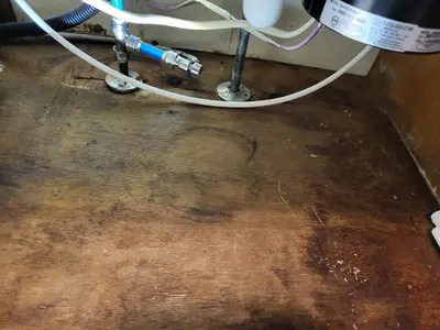Severe water damage and dark staining under a kitchen sink, requiring professional mold inspection and testing in Manalapan.