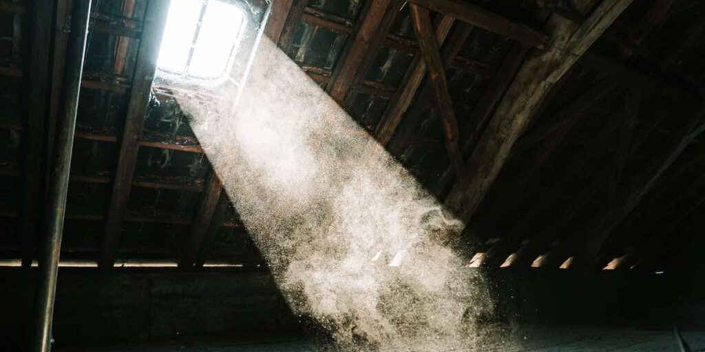 Attic Mold Removal image