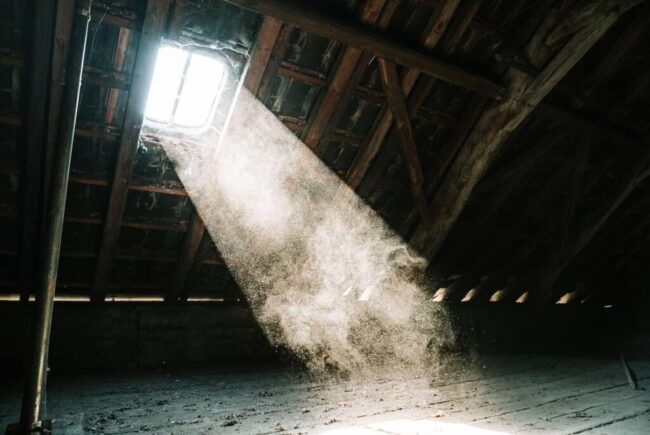 Attic Mold Removal image