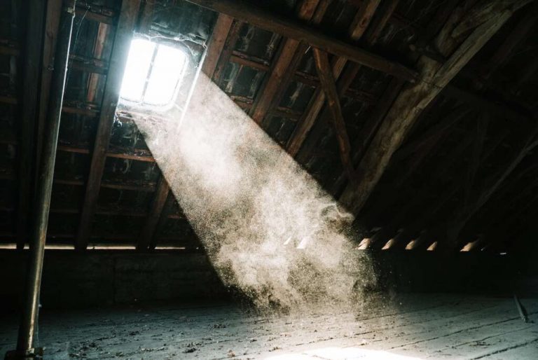 Attic Mold Removal image