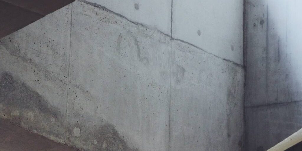 basement-mold-removal-1024×683 Basement Mold Removal image