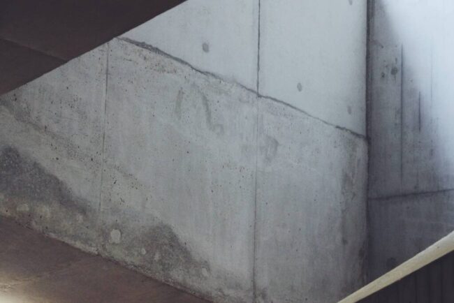 Basement Mold Removal image