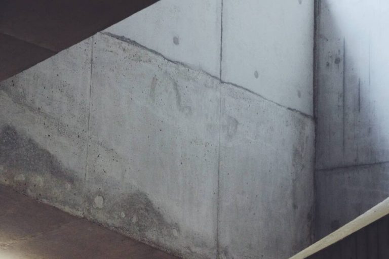 Basement Mold Removal image