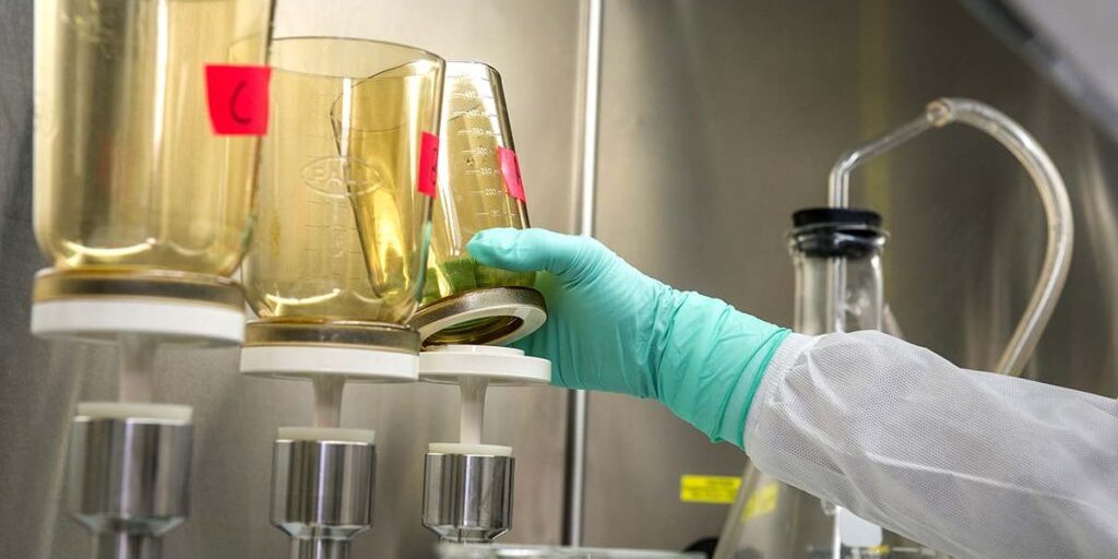 Mold Testing & Inspections image