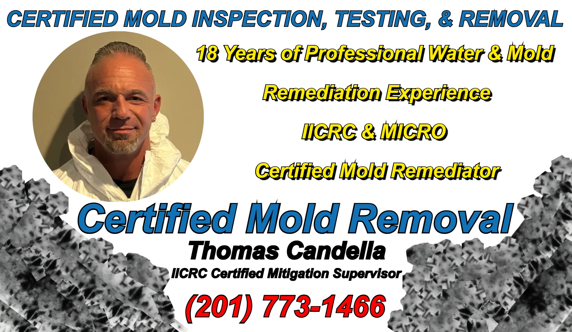 Certified Mold Removal remediation specialist Thomas Candella with IICRC and MICRO certifications supervising professional mold removal and water damage remediation projects in Teaneck NJ Bergen County.