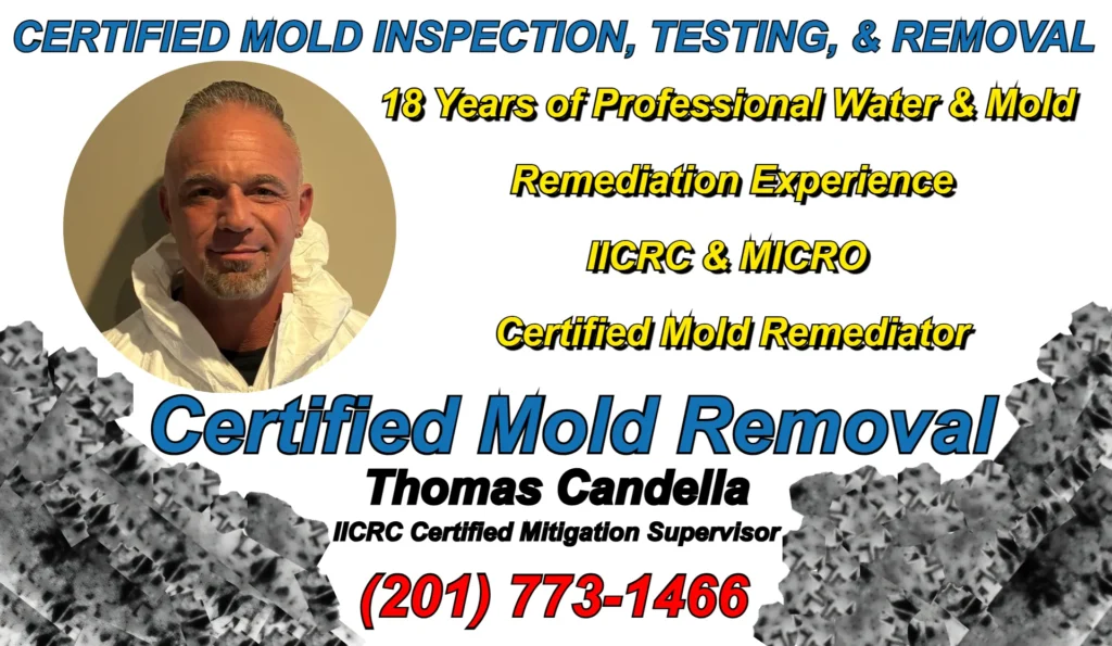 Mold remediation supervisor Thomas Candella IICRC and MICRO certified with 18 years of professional water and mold remediation experience serving Glen Rock NJ and Bergen County.
