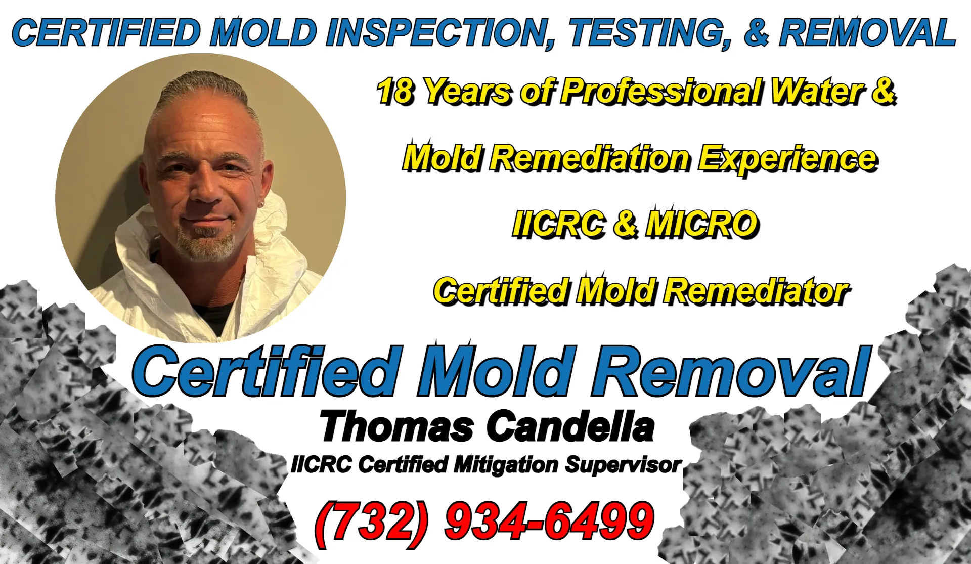 Thomas Candella certified mold removal supervisor Marlboro NJ with IICRC and MICRO credentials and 18 years of professional black mold remediation project supervision expertise in Monmouth County.