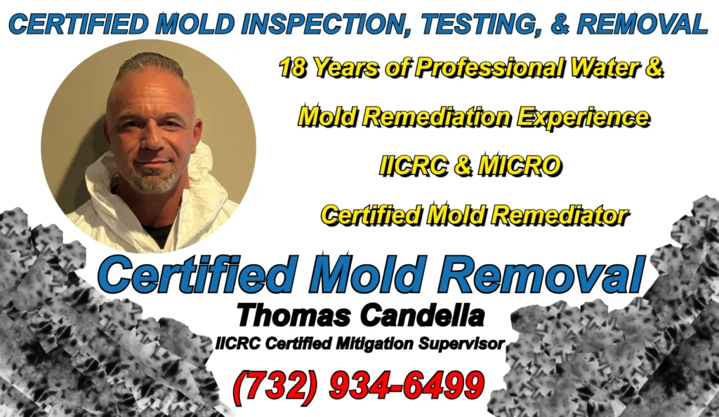 Thomas Candella IICRC certified mold remediator Howell NJ with MICRO credentials and 18 years of professional water and mold remediation project supervision in Monmouth County.