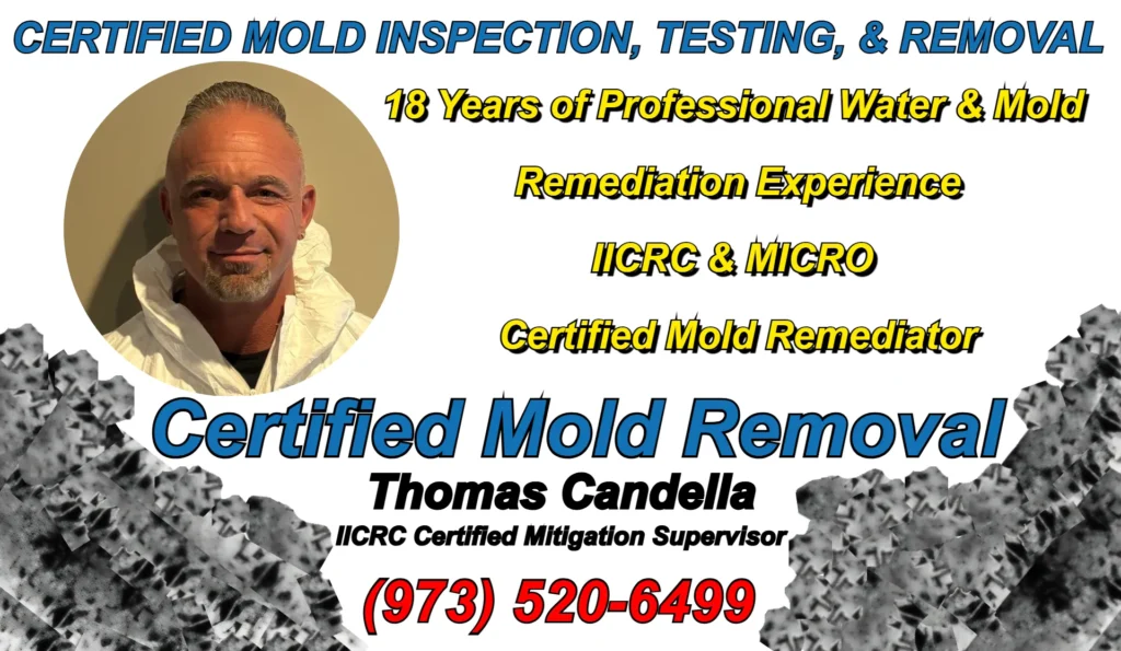 Thomas Candella IICRC and MICRO certified mold remediator with 18 years of professional water and mold remediation experience serving Morris County NJ homeowners.