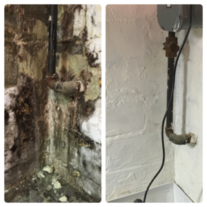 Before and after picture of a professional basement mold removal project in Montville, NJ