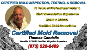 Credentials for MICRO & IICRC certified mold remediation and abatement crew chief supervisor Thomas Candella of Denville, NJ.