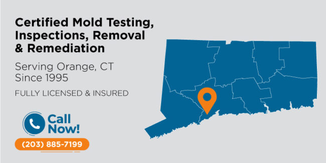 orange-connecticut-mold-testing-inspection-removal-remediation-ct