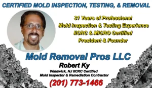 Robert Ky IICRC and MICRO certified mold inspector and remediation contractor in Waldwick NJ.