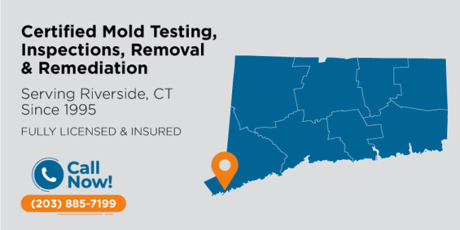 riverside-connecticut-mold-testing-inspection-removal-remediation-ct