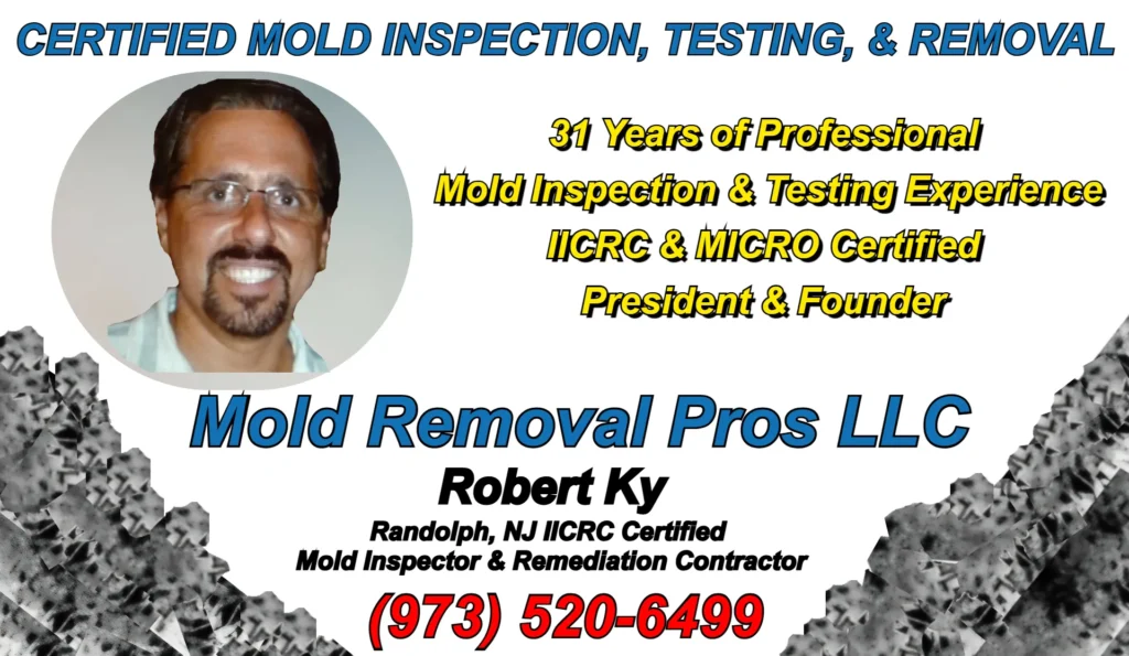Robert Ky, President and Founder of Certified Mold Removal has three decades of experience helping Randolph, NJ property owners.