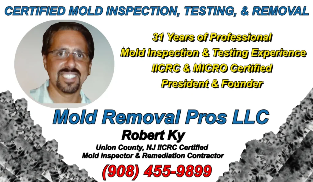 Robert Ky IICRC and MICRO certified mold inspector remediation contractor and founding president of Certified Mold Removal serving Union County NJ with 31 years of professional mold inspection testing and remediation expertise.