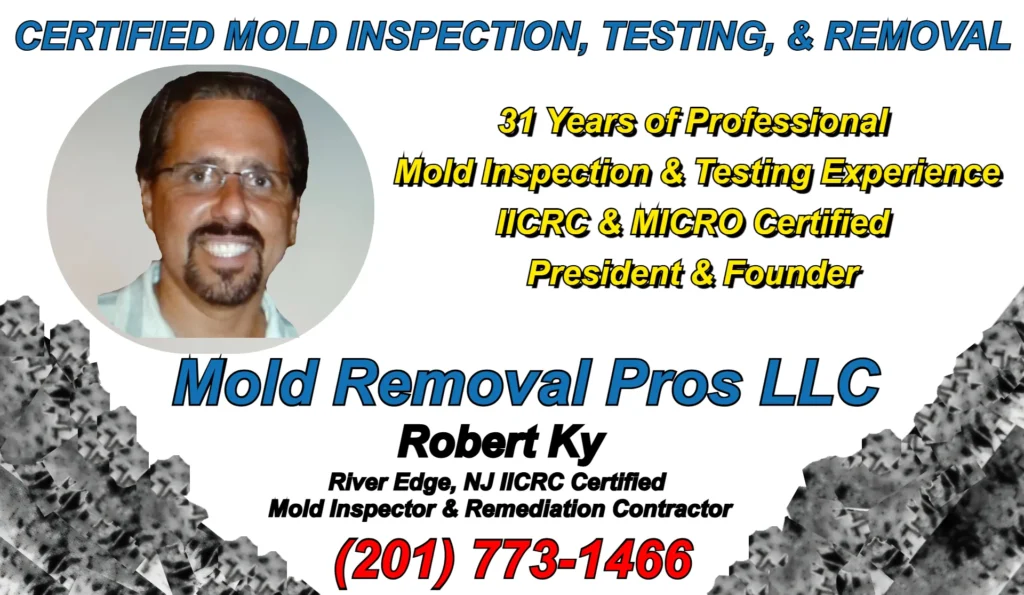 Robert Ky President and Founder of Certified Mold Removal IICRC and MICRO certified mold inspector and remediation contractor River Edge NJ with 31 years of professional mold inspection testing and remediation expertise for Bergen County homeowners.