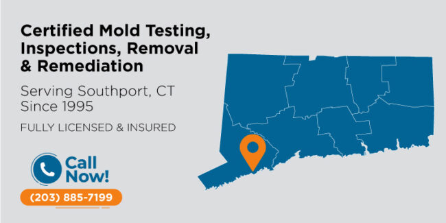 southport-connecticut-mold-testing-inspection-removal-remediation-ct