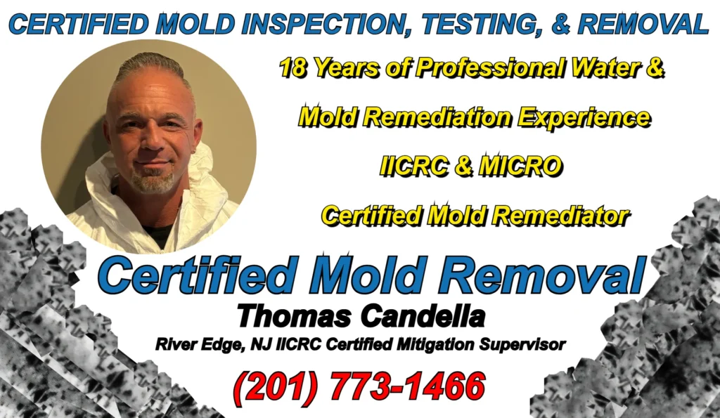 Thomas Candella IICRC certified mold remediator River Edge NJ with MICRO credentials and 18 years of professional water and mold remediation project supervision in Bergen County.