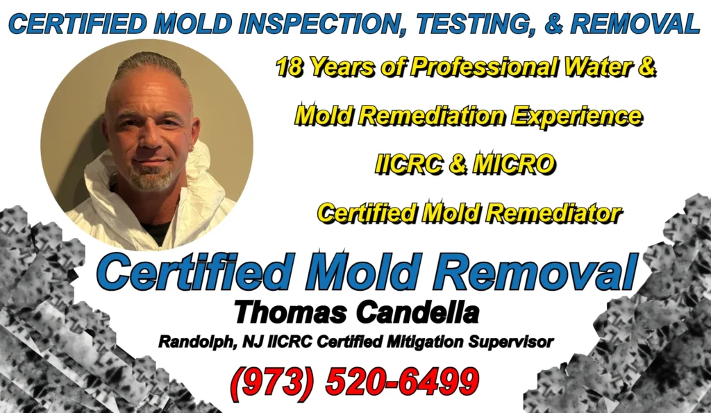 Thomas Candella professional mold remediation supervisor Randolph NJ certified through IICRC and MICRO with 18 years of project supervision experiense.