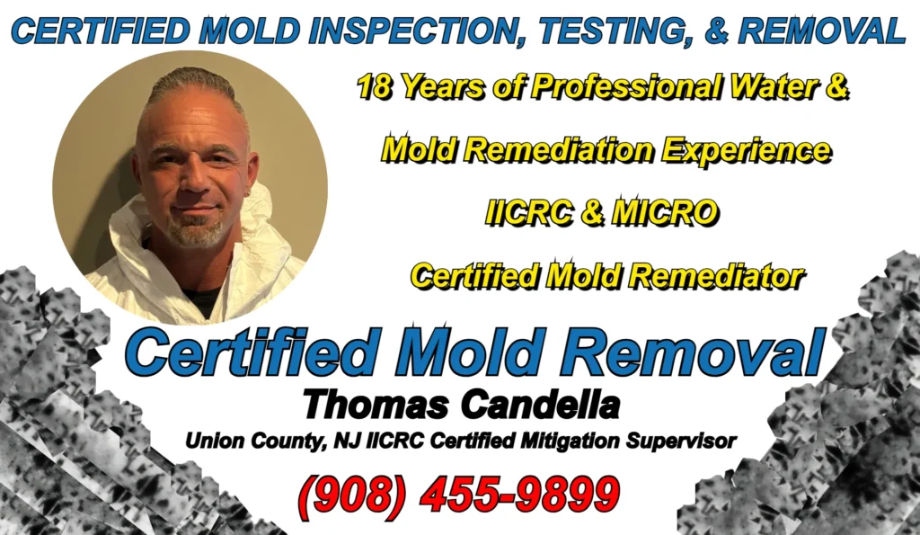 Thomas Candella professional mold remediation supervisor certified through IICRC and MICRO with 18 years of water and mold remediation project supervision and mitigation expertise in Union County, NJ.