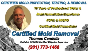 Thomas Candella IICRC and MICRO certified mold removal specialist in Waldwick NJ with 18 years remediation experience. 