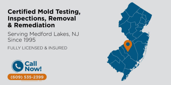 medford-lakes-new-jersey-mold-testing-inspection-removal-remediation-nj
