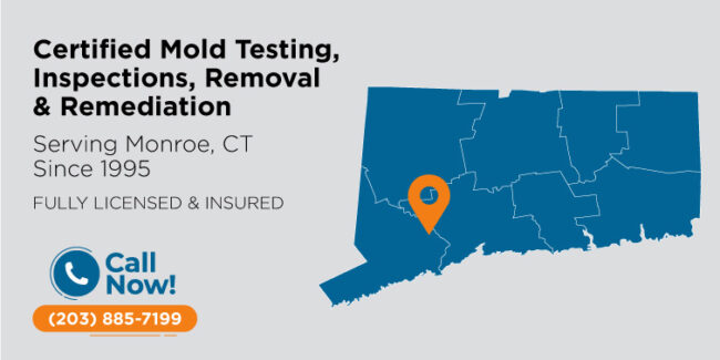 monroe-connecticut-mold-testing-inspection-removal-remediation-ct