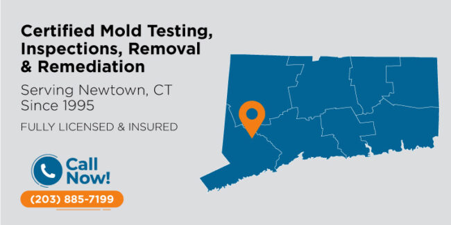 newtown-connecticut-mold-testing-inspection-removal-remediation-ct