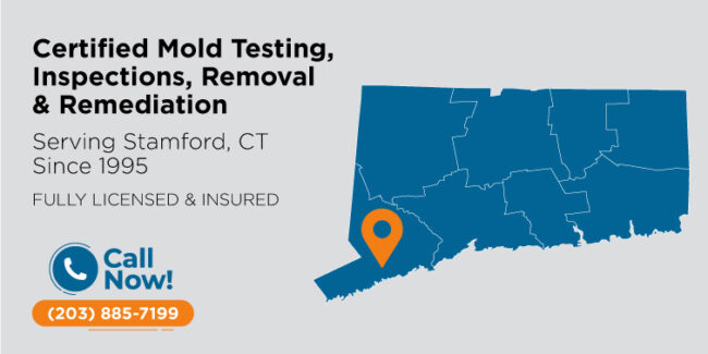 stamford-connecticut-mold-testing-inspection-removal-remediation-ct
