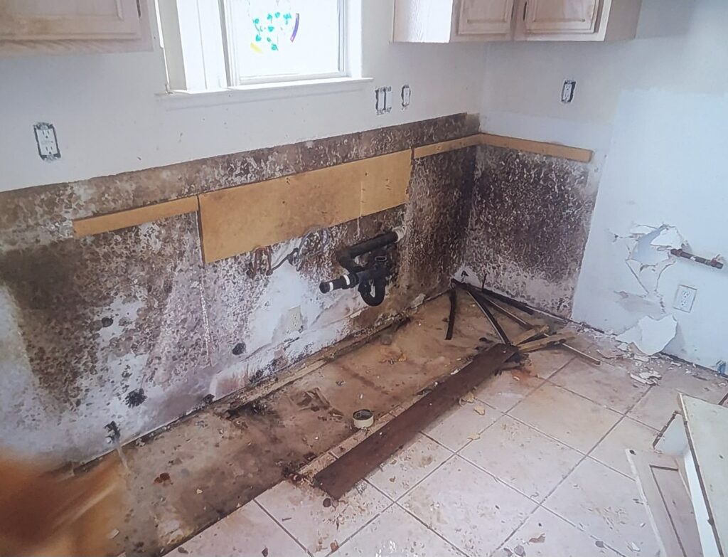 Expert Professional Certified Kitchen Mold Removal & Remediation Services NJ