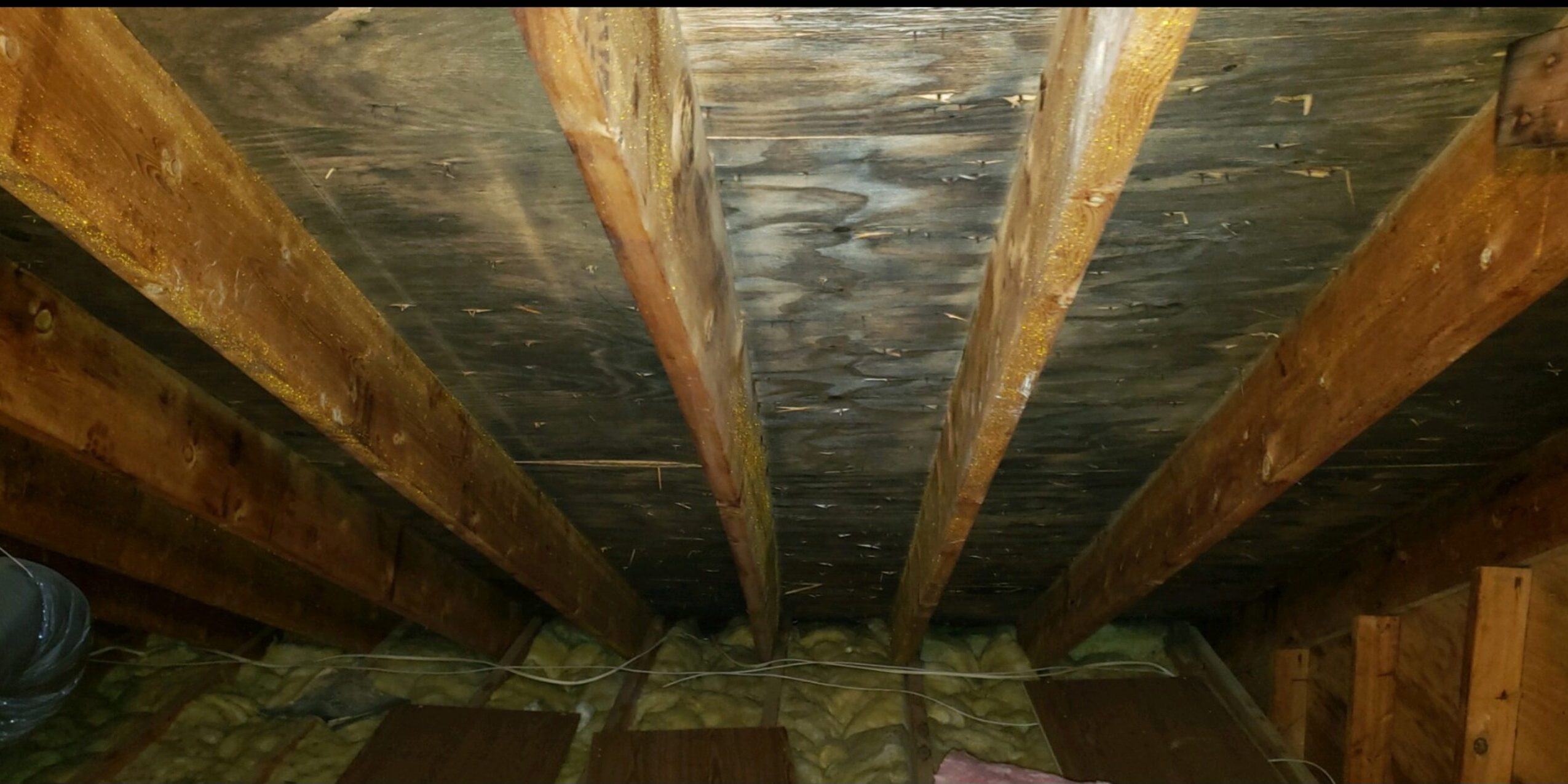 Professional-Mold-Removal-Remediation-Services-Bergen-County-NJ