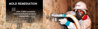 Professional Black Mold Testing & Removal Services in Westchester County NY