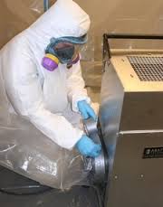 Mold Testing and Removal for Joseph B. of Bridgewater NJ 08807