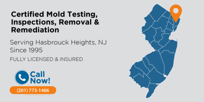 NewJersey_hasbrouck-heights-nj