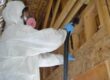 Professional Mold Testing and Removal Services in Somerset County NJ 08844