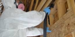 Professional Testing Mold and Removal Services in Somerset County NJ 08844 Professional Mold Testing and Removal Services in Somerset County NJ 08844