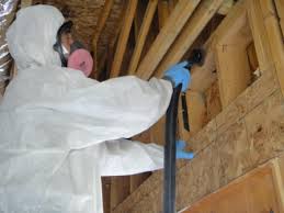 Professional Mold Testing and Removal Services in Somerset County NJ 08844