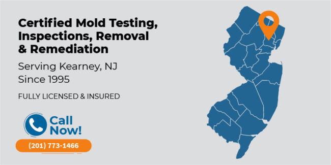 _kearney-new-jersey-mold-testing-inspection-removal-remediation-nj