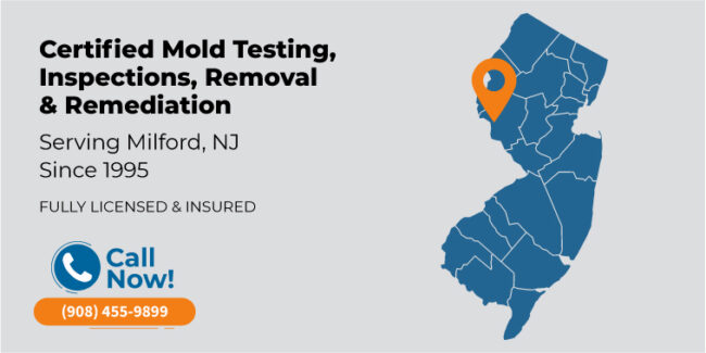 milford-new-jersey-mold-testing-inspection-removal-remediation-nj milford new jersey mold testing