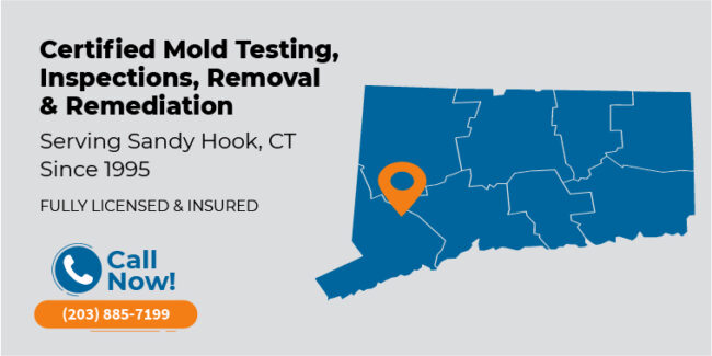 sandy-hook-connecticut-mold-testing-inspection-removal-remediation-ct