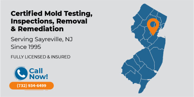 sayreville-new-jersey-mold-testing-inspection-removal-remediation-nj
