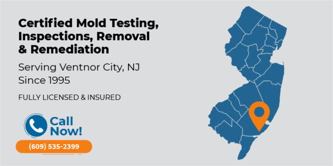 ventnor-city-new-jersey-mold-testing-inspection-removal-remediation-nj