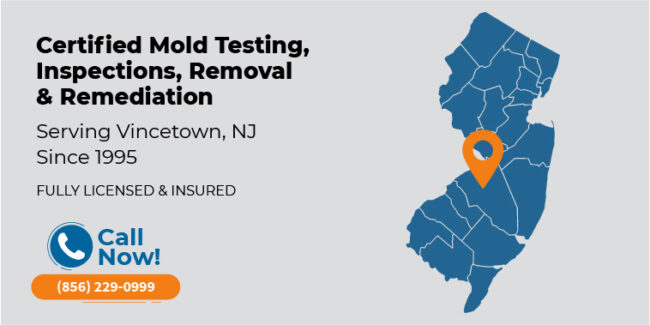 vincetown-new-jersey-mold-testing-inspection-removal-remediation-nj