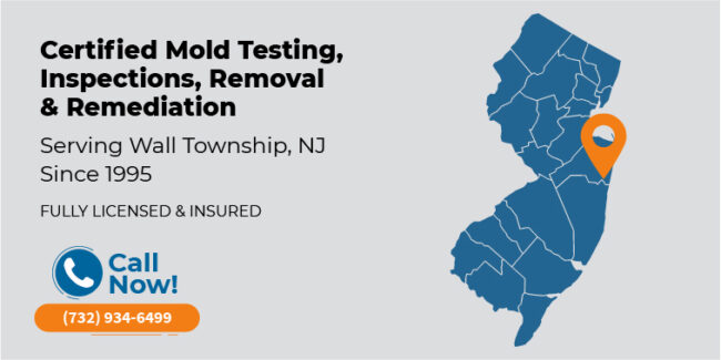 wall-township-new-jersey-mold-testing-inspection-removal-remediation-nj