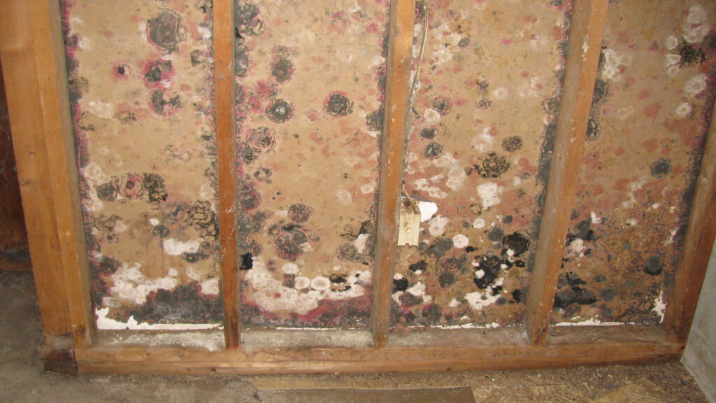 Hidden mold damage on back side of sheetrocked wall