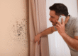man on the phone discovering black mold spots