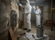 Mold Inspections