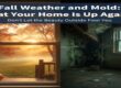 Fall Weather and Mold