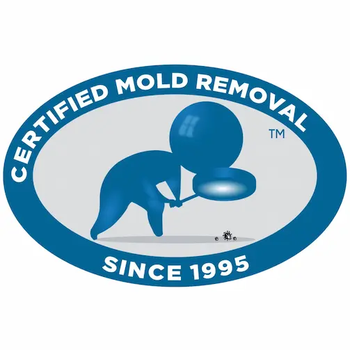 Certified Mold Removal